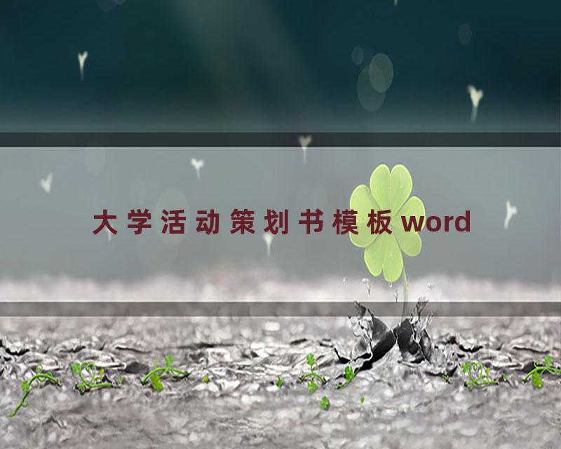 大学活动策划书模板word