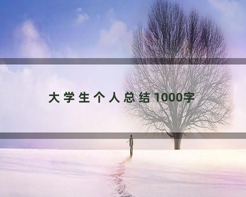 大学生个人总结1000字