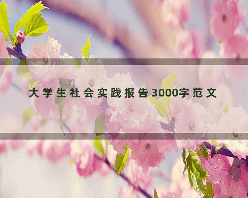 大学生社会实践报告3000字范文