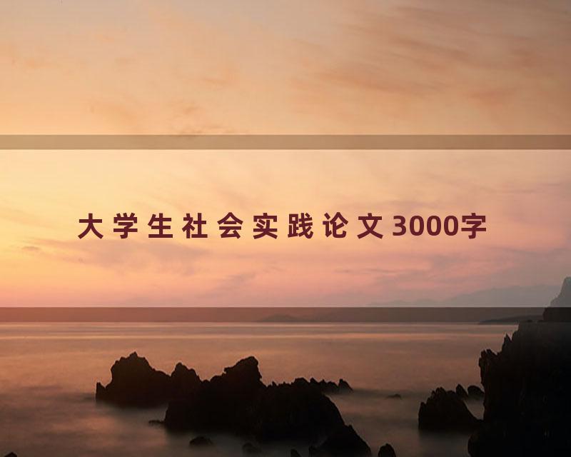 大学生社会实践论文3000字