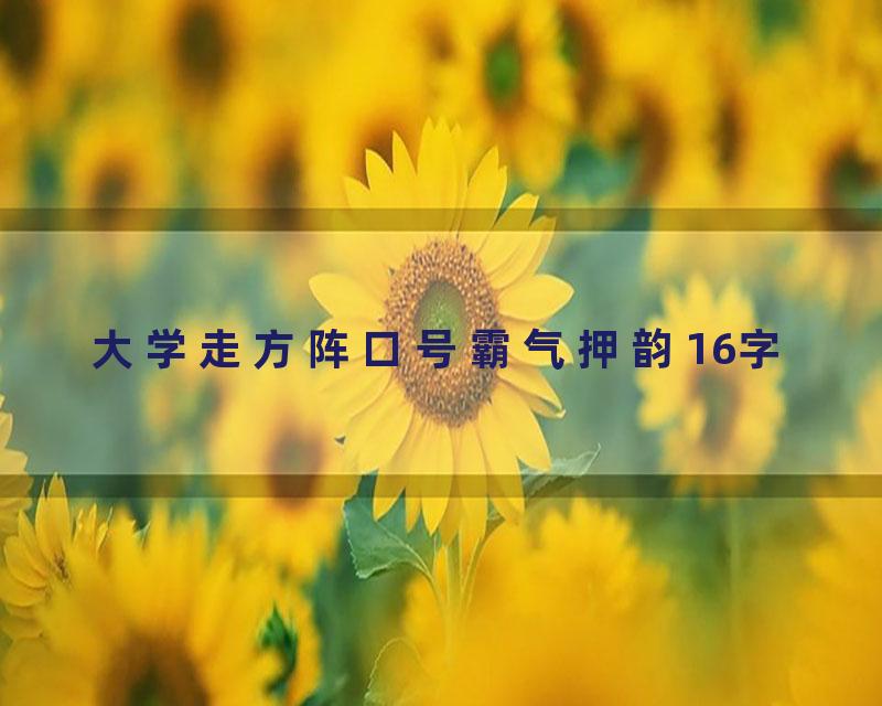 大学走方阵口号霸气押韵16字