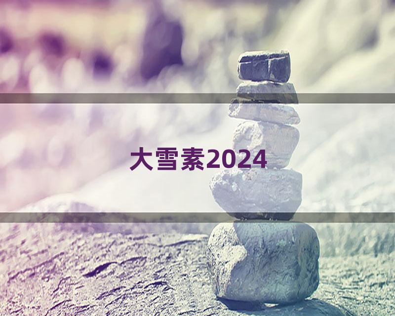 大雪素2024