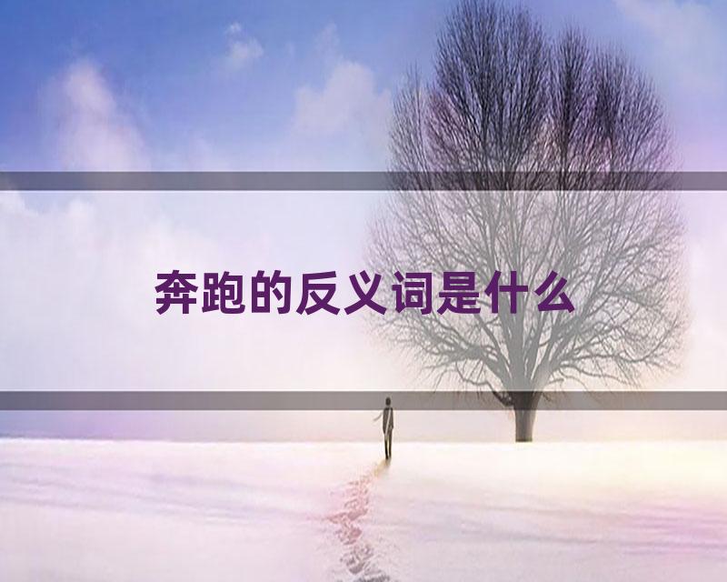 奔跑的反义词是什么