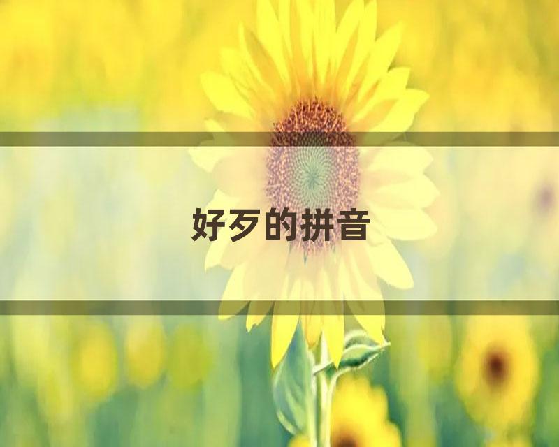 好歹的拼音