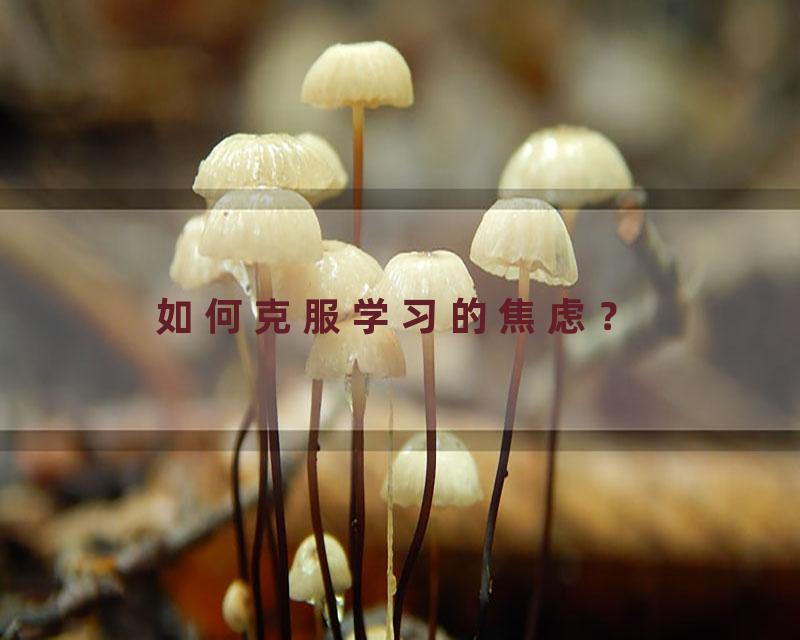 如何克服学习的焦虑？