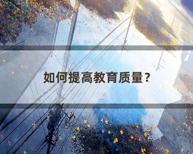 如何提高教育质量？