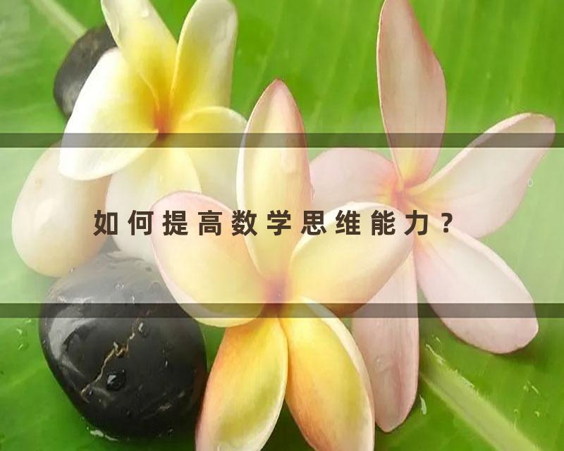 如何提高数学思维能力？