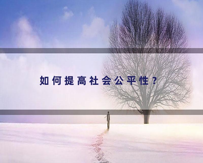 如何提高社会公平性？