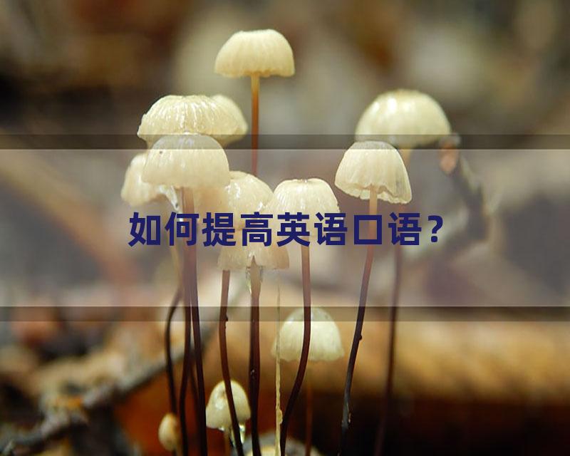 如何提高英语口语？