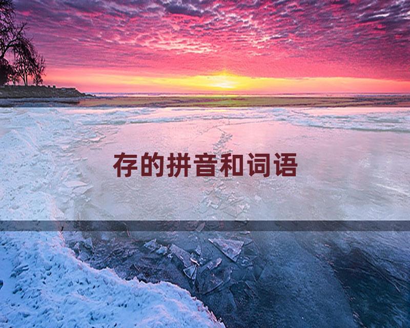 存的拼音和词语