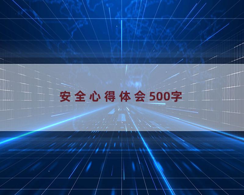 安全心得体会500字