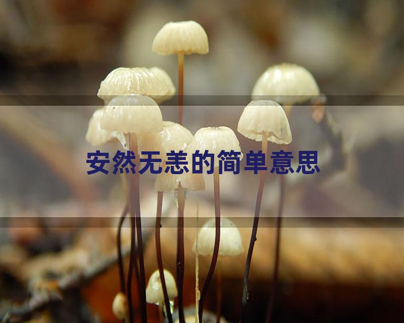 安然无恙的简单意思