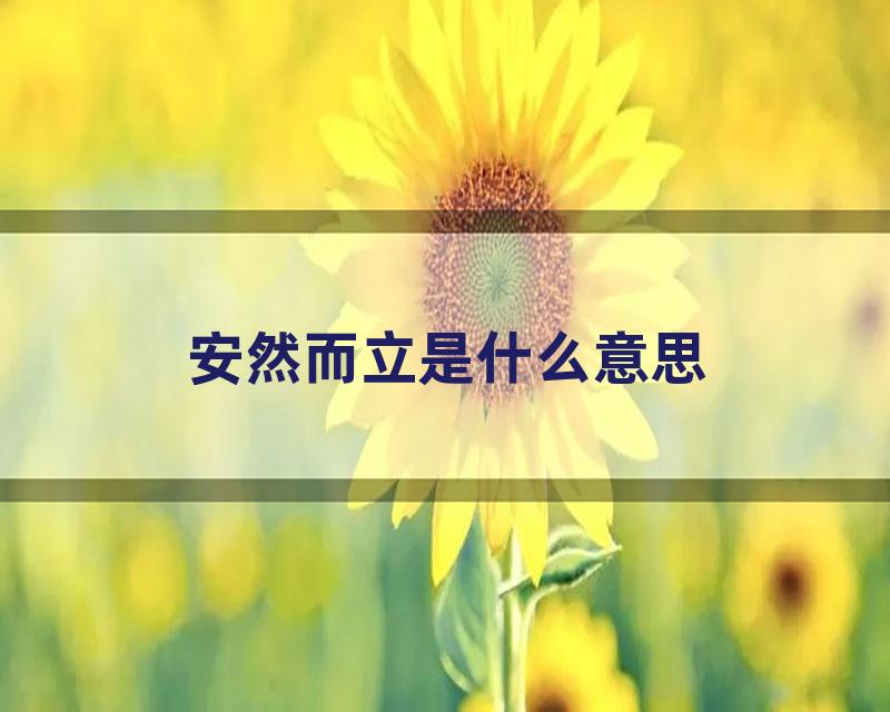 安然而立是什么意思