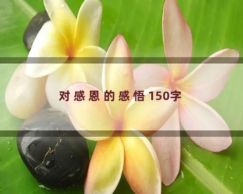 对感恩的感悟150字