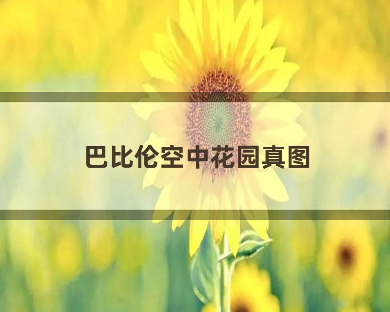 巴比伦空中花园真图