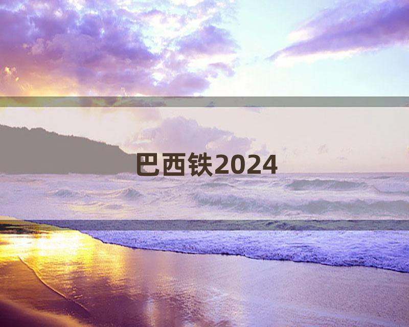 巴西铁2024