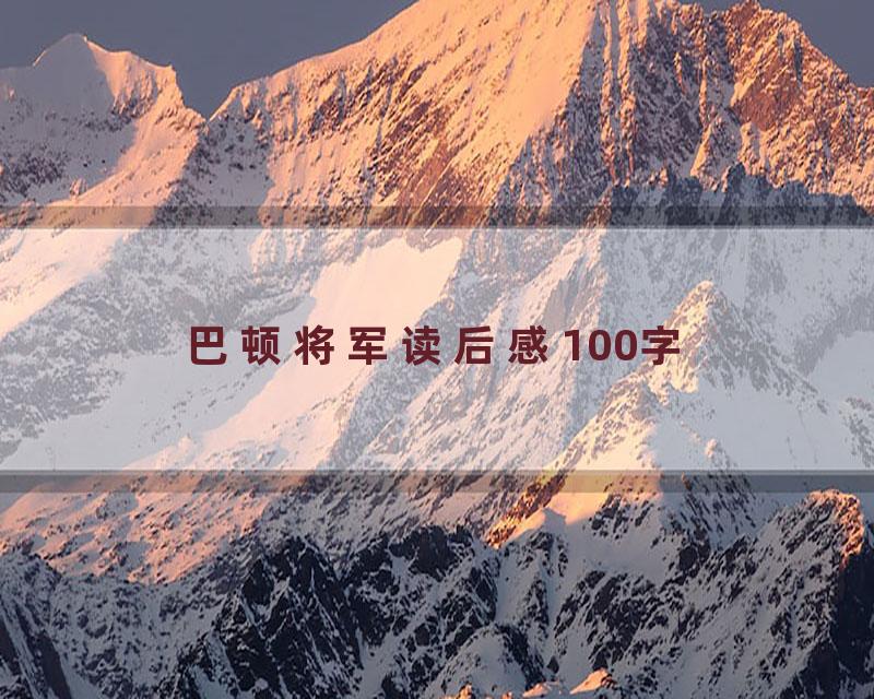 巴顿将军读后感100字