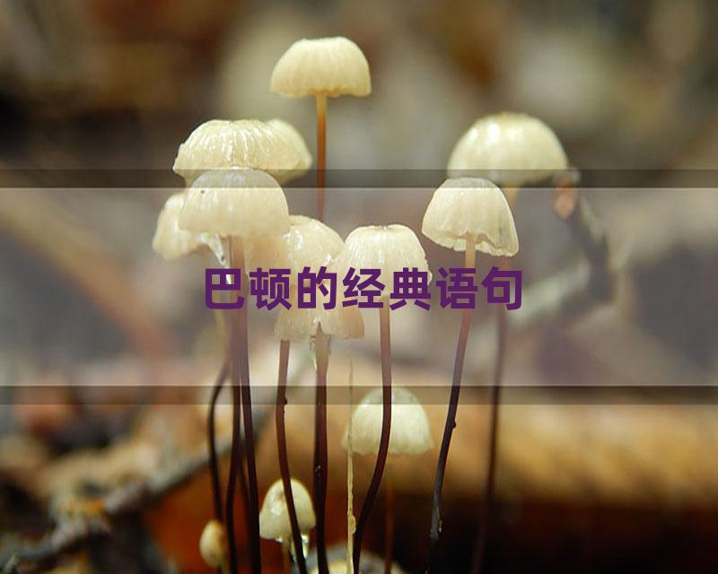 巴顿的经典语句