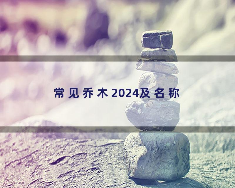 常见乔木2024及名称