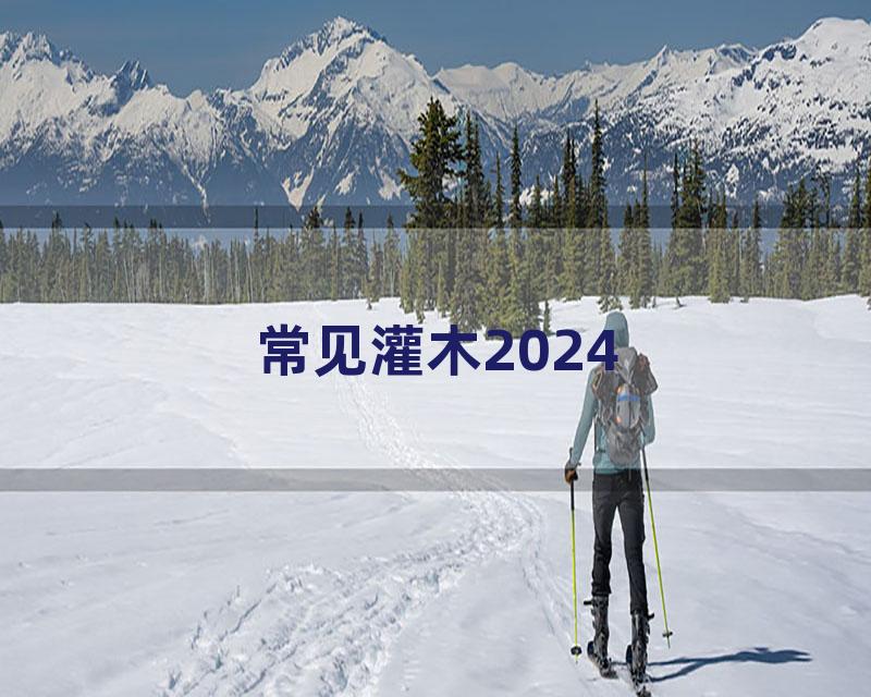 常见灌木2024