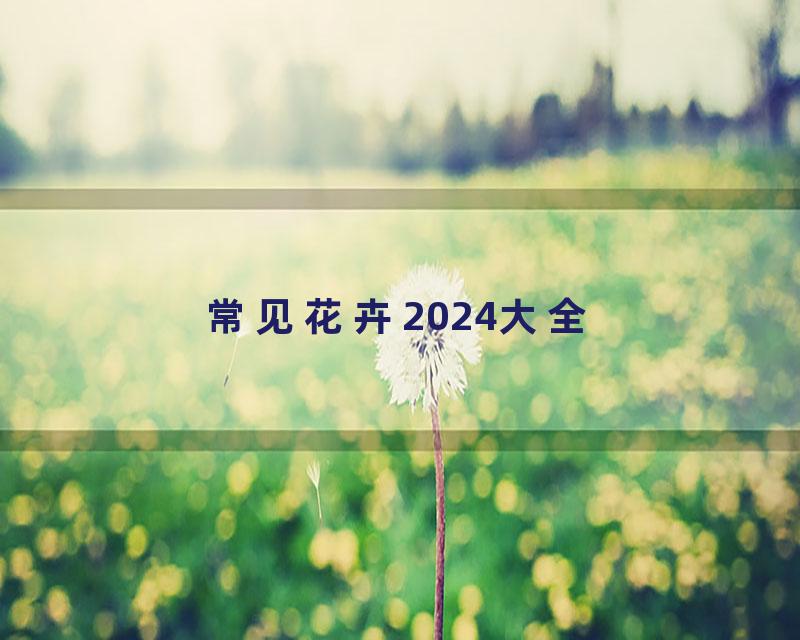 常见花卉2024大全