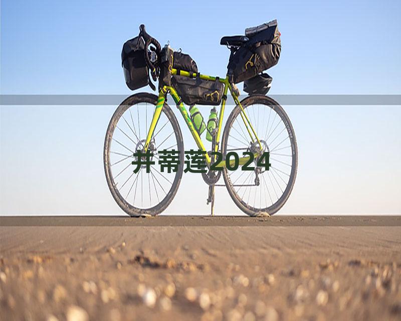 并蒂莲2024