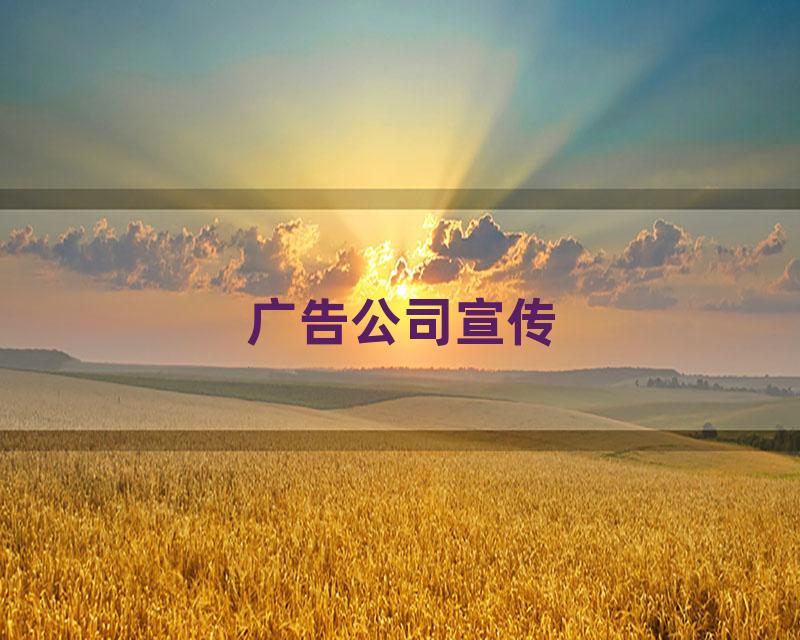 广告公司宣传