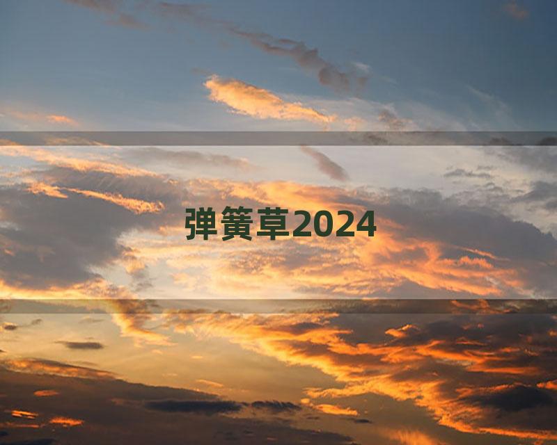 弹簧草2024