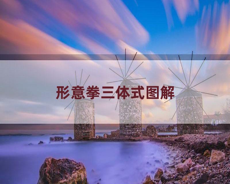 形意拳三体式图解