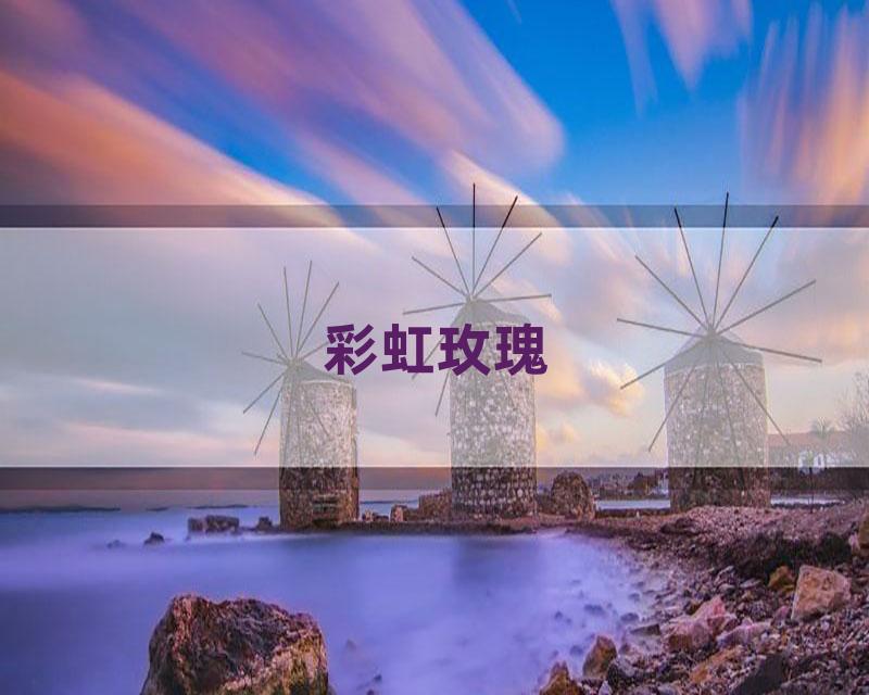 彩虹玫瑰