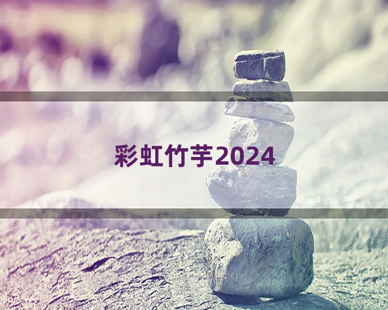 彩虹竹芋2024