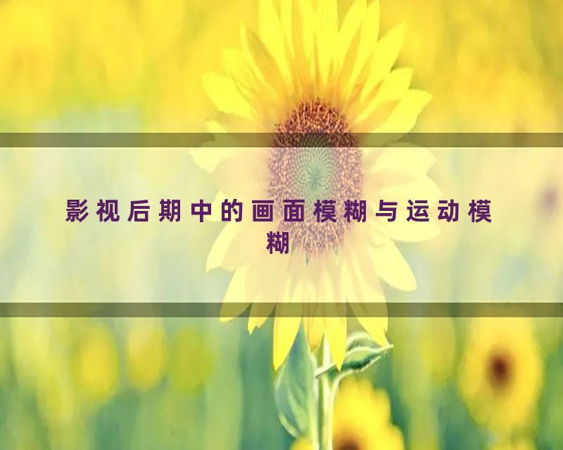 影视后期中的画面模糊与运动模糊