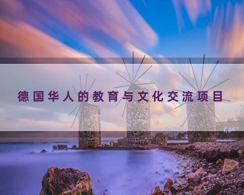 德国华人的教育与文化交流项目