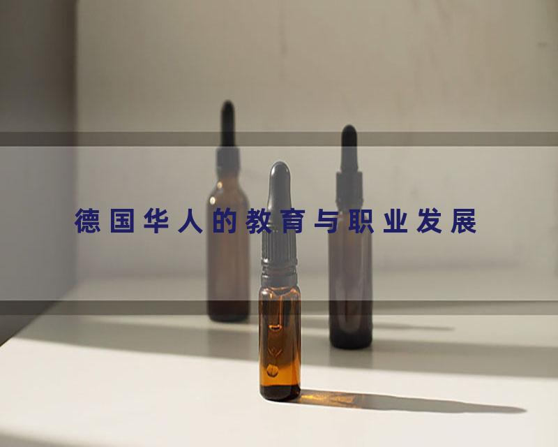 德国华人的教育与职业发展