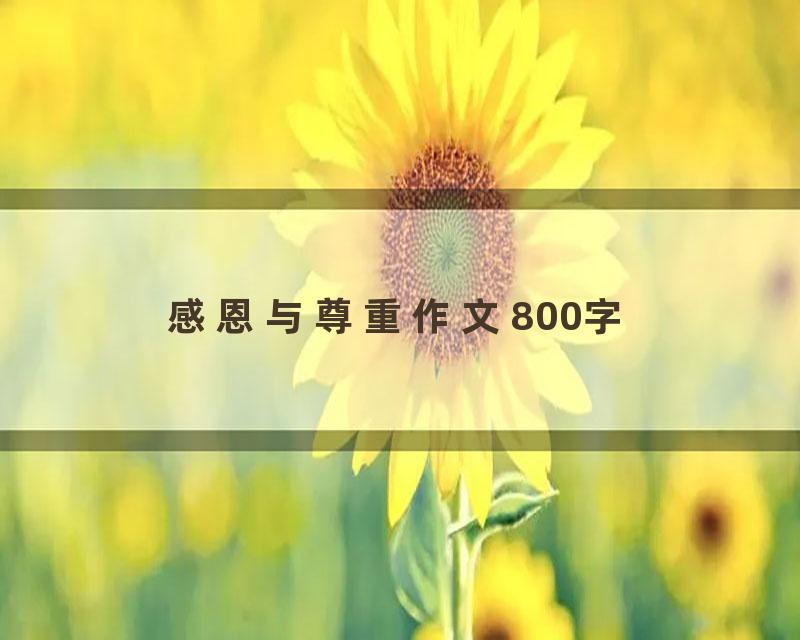 感恩与尊重作文800字