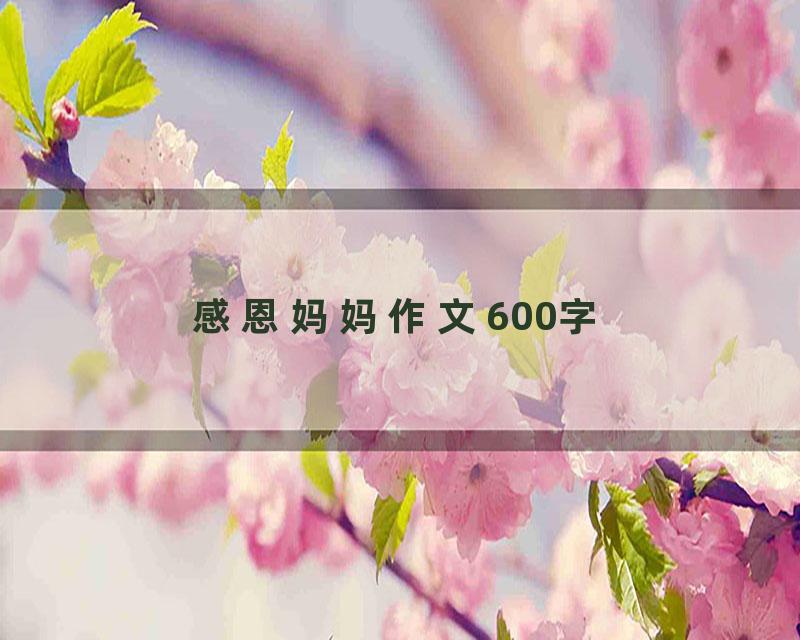 感恩妈妈作文600字