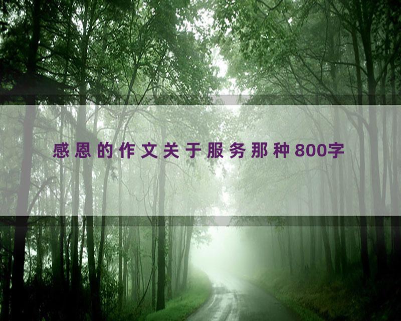 感恩的作文关于服务那种800字