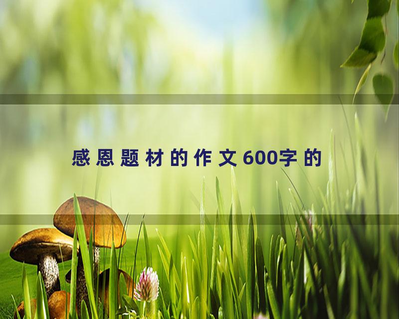 感恩题材的作文600字的