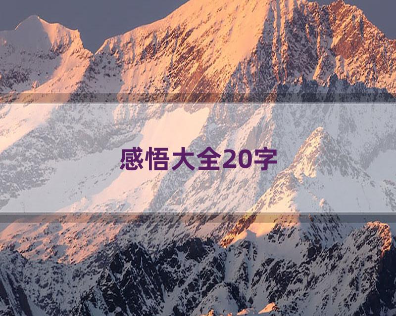 感悟大全20字