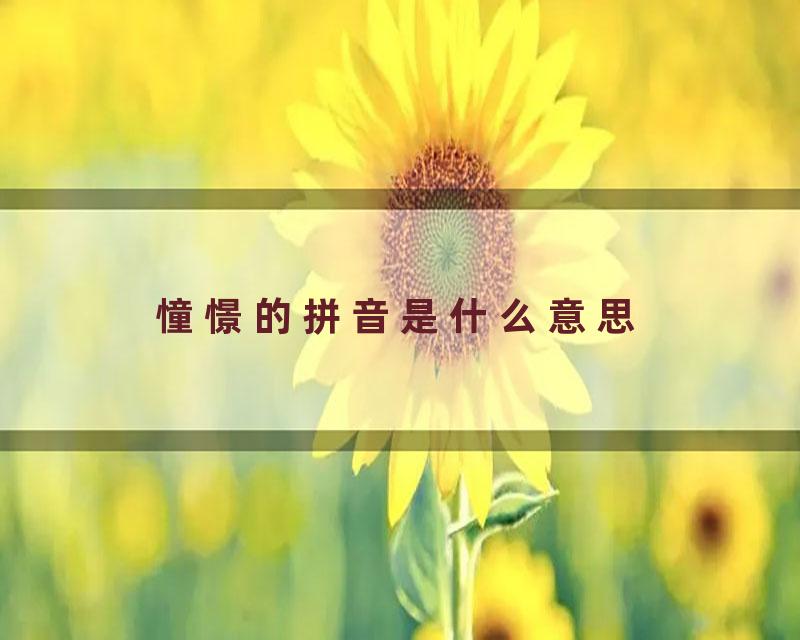 憧憬的拼音是什么意思