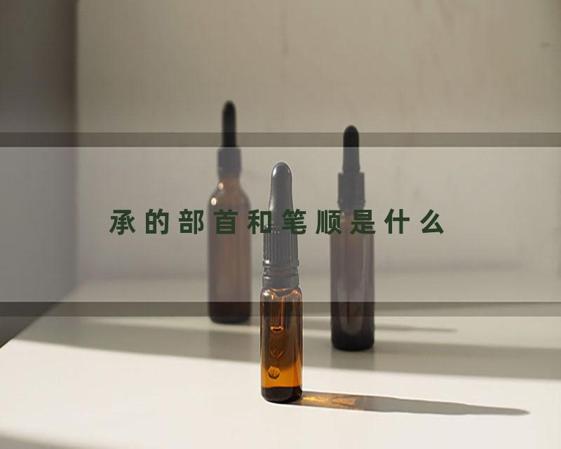 承的部首和笔顺是什么