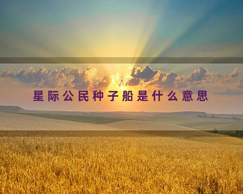 星际公民种子船是什么意思