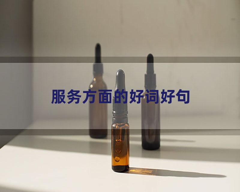 服务方面的好词好句