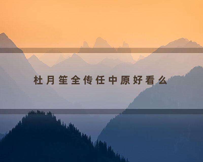 杜月笙全传任中原好看么