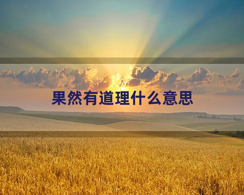 果然有道理什么意思