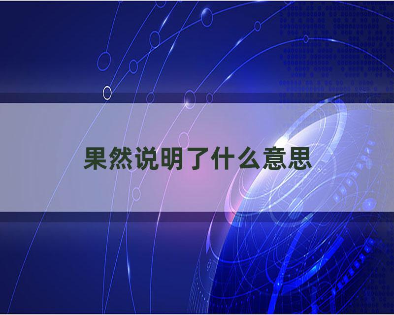 果然说明了什么意思