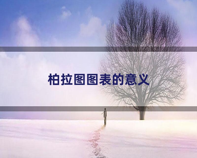 柏拉图图表的意义