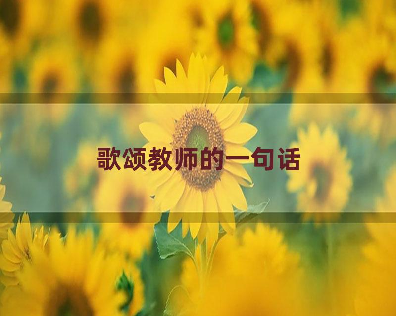 歌颂教师的一句话