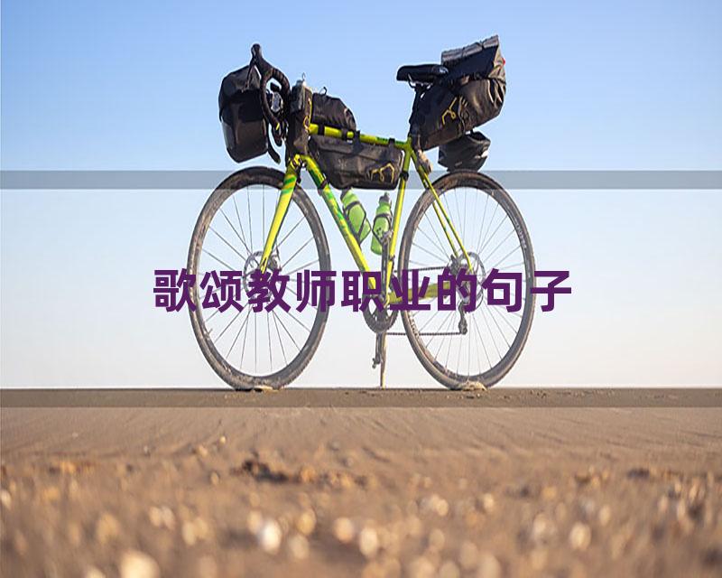 歌颂教师职业的句子