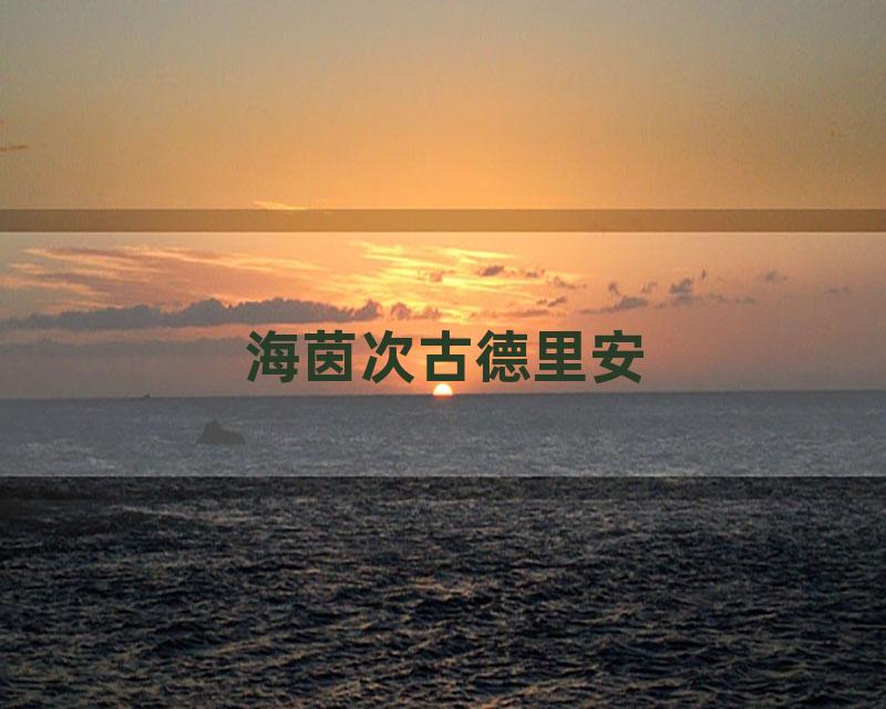 海茵次古德里安